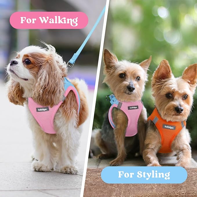 rabbitgoo Small Dog Harness, Step-in Soft Mesh Puppy Vest with Safety Buckle, Breathable Reflective Pet Harness for Small Sized Dogs, Blue & Light Pink XS