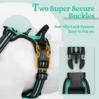 rabbitgoo Dog Harness No Pull with 2 Leash Clips, Adjustable Soft Padded, Reflective Oxford No Choke Pet Vest with Easy Control Handle for Medium Sized Dogs, Turquoise, M