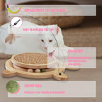Petest Wooden Interactive Cat Toy with Ball Track & Teaser Wand – Solid Pine Wood Cat Scratcher with Natural Sisal Rope, Replaceable Toys, Turtle Design