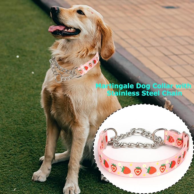 Pink Strawberry Martingale Dog Collar with Chain - No-Pull Training Collar Soft & Durable Design for Medium, Large & XL Dogs (L Strawberry)