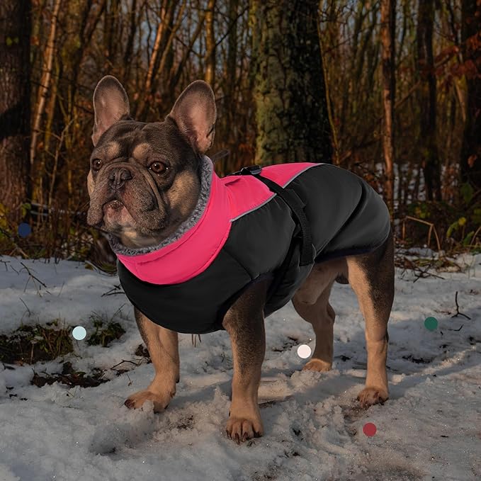 IECOii Extra Warm Dog Coat - Reflective Adjustable Jacket With Buckle Fleece Turtleneck for Cold Weather - Soft Winter Coat for Small Medium Extra Large Dogs