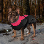 IECOii Extra Warm Dog Coat - Reflective, Adjustable Jacket with Buckle & Turtleneck for Cold Weather - Soft Winter Coat for Small to Extra Large Dogs