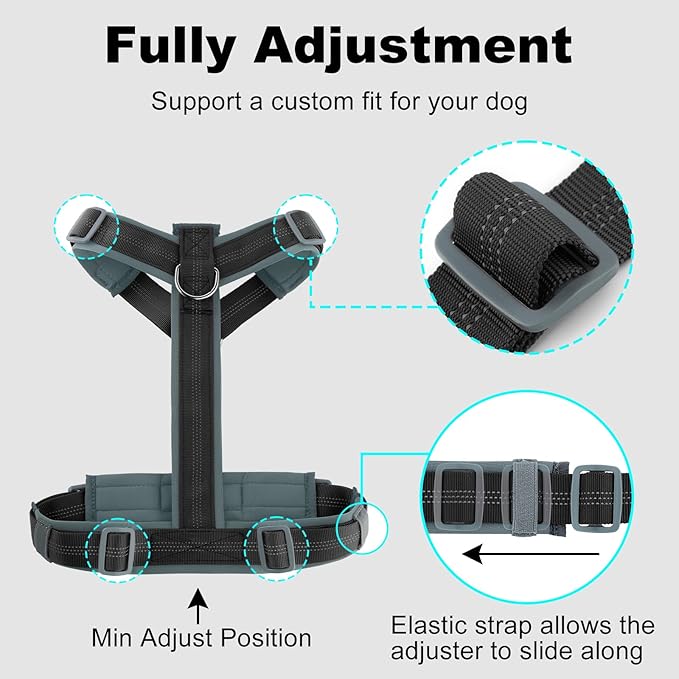 Plutus Pet No Pull Dog Harness, Adjustable Nylon Harness with Soft Padding, Reflective and Heavy Duty Dog Harness for Small, Medium, Large Dogs(Black, S)
