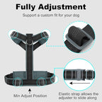 Plutus Pet No Pull Dog Harness, Adjustable Nylon Harness with Soft Padding, Reflective and Heavy Duty Dog Harness for Small, Medium, Large Dogs(Black, L)