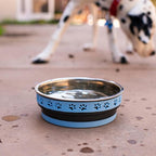 Loving Pets Corsa Dog Bowls- Stainless Steel Dog & Cat Bowls - Spill Proof Dog Food Bowl, Cat Bowl, Puppy Essentials & Pet Supplies Great for Home & Travel (Large 35-65 lbs, Rapid Blue)