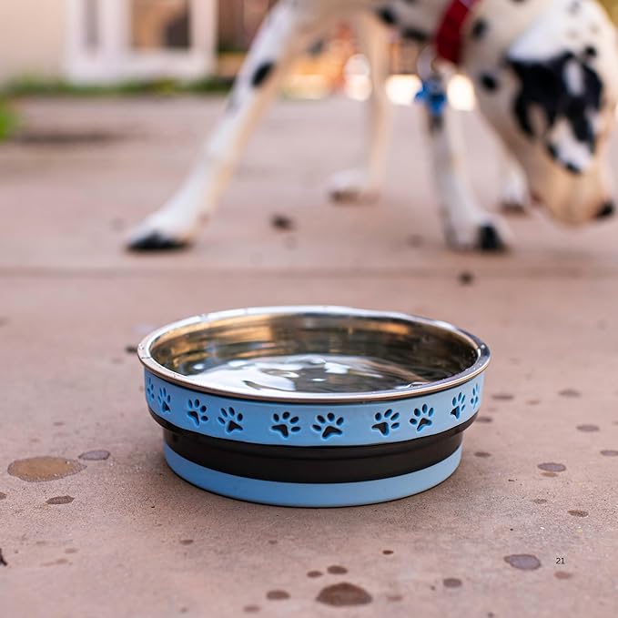 Loving Pets Corsa Dog Bowls- Stainless Steel Dog & Cat Bowls - Spill Proof Dog Food Bowl, Cat Bowl, Puppy Essentials & Pet Supplies Great for Home & Travel (Medium 20-35 lbs, Rapid Blue)