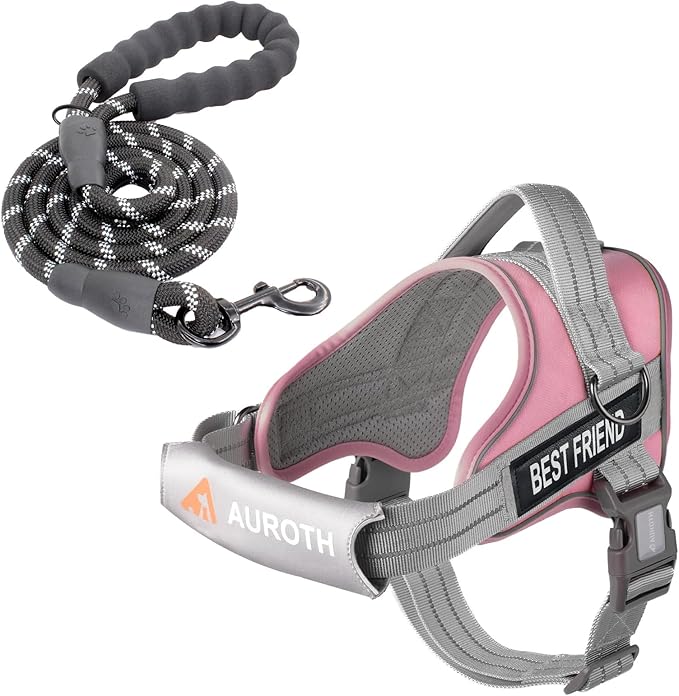 AUROTH Dog Harness and Leash Set, Soft Padded Service Dog Vest with 5.25FT Dog Leash, No Choke, Easy On Pet Vest, Adjustable Reflective No Pull Dog Harness for Large Dogs, Easy Walking and Training