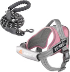 AUROTH Dog Harness and Leash Set, Soft Padded Service Dog Vest with 5.25FT Dog Leash, No Choke, Easy On Pet Vest, Adjustable Reflective No Pull Dog Harness for Large Dogs, Easy Walking and Training
