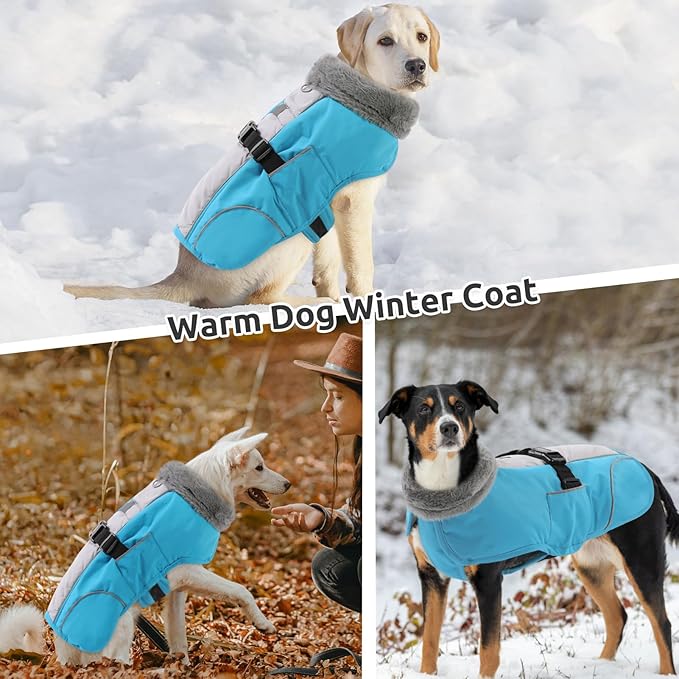 Queenmore Dog Coats for Large Breeds, Dog Snow Jacket, Adjustable Easy On Pet Winter Jackets, Waterproof Cold Weather Pet Coat, Blue, L