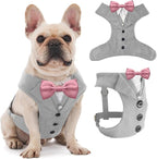 AVERYDAY Dog Tuxedo for Wedding Outfit, Dog Suit and Tie Costumes for Birthday, Halloween, Cosplay, Christmas Party, Pet Formal Wear with Bowtie, Tux for Medium Large Dogs, Bulldog, Labrador, Husky