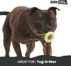 BARK Sun Power Tug Rope Toy for Dogs & Puppies - Medium