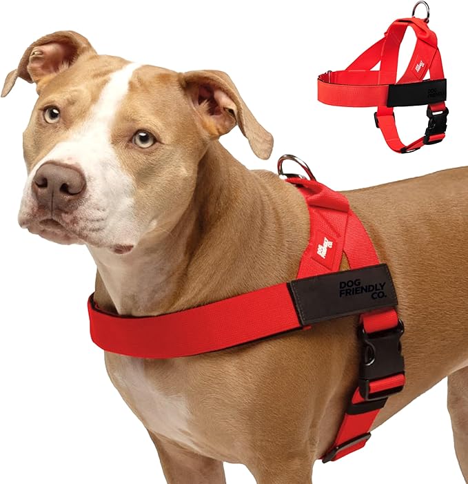 DF Co. Dog Harness | Chafe Resistant Webbing, Adjustable Neck & Chest, and Heavy Duty D-Ring | Sturdy, Comfortable, Easy to Use | Red, Size XS