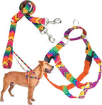 2 Hounds Design - Freedom No-Pull Harness & Training Leash in Multi-Color | Dual Leash Loops, No Pulling on Walks | Lined to Prevent Chaffing | for Large Sized Dogs (Size L, Chest 28”- 32”)
