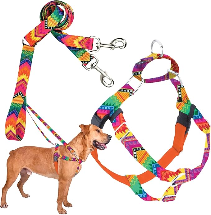 2 Hounds Design - Freedom No-Pull Harness & Training Leash in Multi-Color | Dual Leash Loops, No Pulling on Walks | Lined to Prevent Chaffing | for Large Sized Dogs (Size L, Chest 28”- 32”)