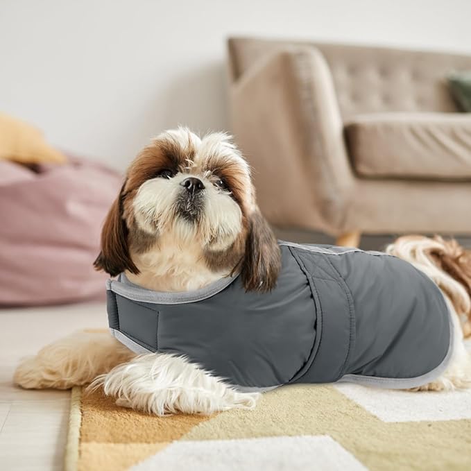 Queenmore Dog Winter Coat, Cold Weather Fleece Jacket for Dogs, Waterproof Reflective Reversible, for Small, Medium and Large Dogs (Grey, XS)