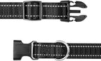 Aikko Professional-Grade Replacement Strap for Electronic Dog Collars - Adjustable Shock/Bark Training Collar Band with Secure Buckle, Compatible with Most E-Collar Systems (Purple & Green)