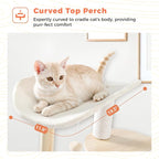 49” Wood Cat Tree Tower for Indoor Cats, 5-Level Modern Cat Tower with Curved Top Perch, Fully Cotton Scratching Posts & Natural Wood Posts, Cat Furniture with Interactive Dangling Ball, Beige