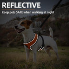 PUPTECK Soft Mesh Dog Harness and Leash Set Pet Puppy Cat Comfort Padded Vest No Pull Harnesses, Solid Orange, S