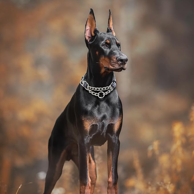 Martingale Dog Collar with Chain,Skull Reflective Nylon Soft Padded Adjustable Choke Collar for Large Breed Dogs, Medium, XL, XXL - Training & Walking Collar(Skull L)