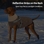 Queenmore Dog Jackets for Large Dogs, Dog Coat with Harness Built-in, Thick Fleece Lining Waterproof Jacket for Large Breeds, Back Zipper Pet Winter Jacket for Retriever, Labrador, Brown XL