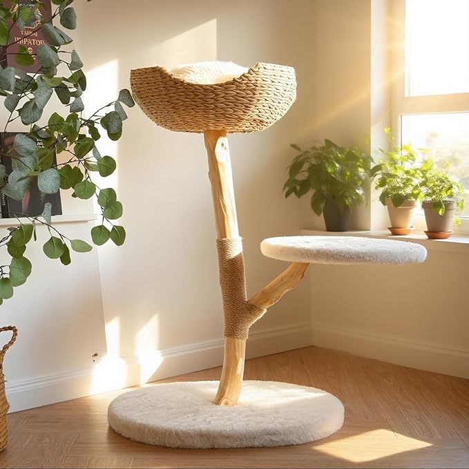 Modern Cat Tree, Natural Pear Wooden Cat Tower for Indoor Cats, Real Branch Luxury Cat Condo with Scratching Post & Hanging Toy Ball（35" Tall）