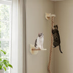 Weysat Cat Tree with 2 x 59.1 Inch Climbing Rope Wall Mounted Cat Climbing Tower Toy with Scratching Post Kitten Rope Ladder with Jumping Platform Wall Steps for Playing and Rest (Wood,Kitten Head)