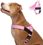 DF Co. Dog Harness | Chafe Resistant Webbing, Adjustable Neck & Chest, and Heavy Duty D-Ring | Sturdy, Comfortable, Easy to Use | Pink, Size L
