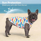 cyeollo 2pack Dog Cooling Shirt, Breathable Sleeveless Summer Clothes for Dogs, Intant Cool T Shirts for Small Dogs, Blue Fish XL