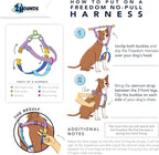 2 Hounds Design Freedom No Pull Dog Harness, Adjustable Harness and Leash Set, Easy Walking & Comfortable Control, Fits Small, Medium & Large Dogs, Solid Colors, Made in USA, 5/8" SM, Star Sprangled