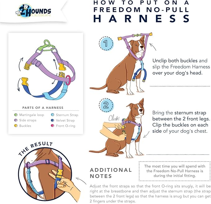2 Hounds Design Freedom No Pull Dog Harness, Adjustable Harness and Leash Set, Easy Walking & Comfortable Control, Fits Small, Medium & Large Dogs, Solid Colors, Made in USA, 5/8" SM, Star Sprangled