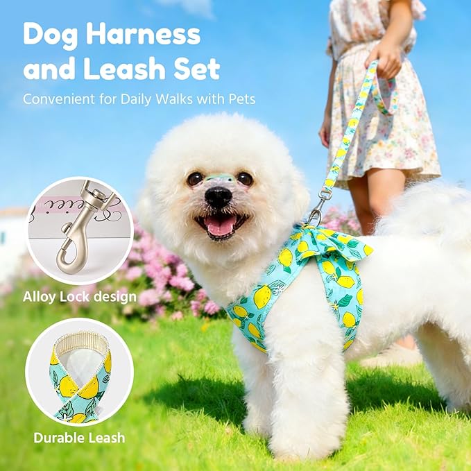 BAEJMJK Dog Harness and Leash Set with Bow Knot No Pull Pet Daisy Floral Harness with D-Ring Soft Mesh Dog Harness Vest Set Escape Proof Princess Puppy Harness for Small Girl Dogs Cats（Green L）