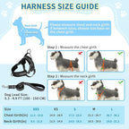 SlowTon No Pull Small Dog Harness and Leash Set, Puppy Soft Vest Harness Neck & Chest Adjustable, Reflective Lightweight Harness & Anti-Twist Pet Lead Combo for Small Medium Dogs (Black, XS)
