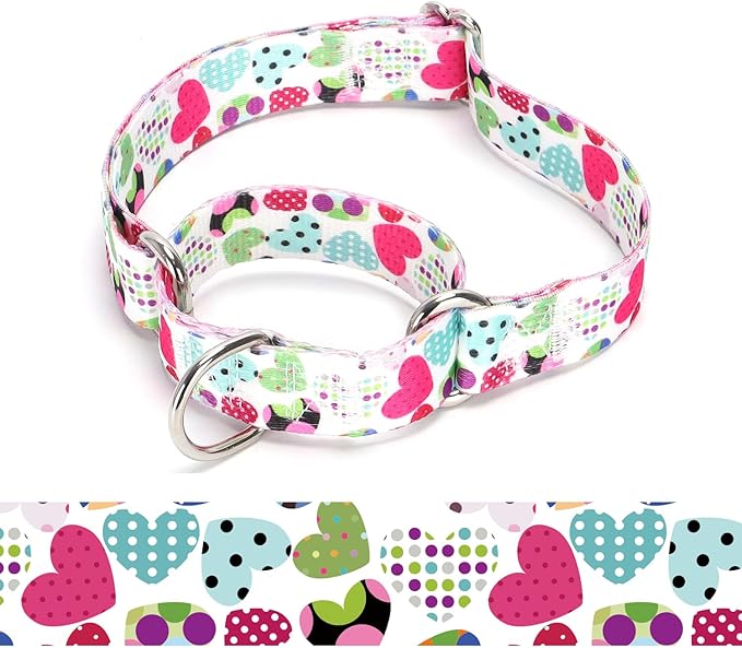 Martingale Dog Collars - Flower Multicolor Cute Patterns, Adjustable Nylon Training Dog Collar Suitable for Boy and Girl Dogs Medium Large Dogs (11, L)