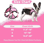 PUPTECK No Pull Dog Harness Small Sized Dog, Adjustable Reflective Escape Proof Easy Control, Comfortable Soft Padded Step in Pet Vest Harness, Pink, S