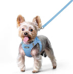 rabbitgoo Dog Harness Small Sized and Leash Set, Step in Soft Light Puppy Vest, Breathable Mesh Pet Harness, Reflective for Safe Easy Walking, Blue & Plaid Trim XS