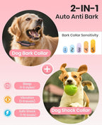 2-in-1 Bark Collar & Shock Collar for Dogs, 3300Ft Dog Training Collar with Remote 2 Pack - Anti Bark/Beep/Vibration/Shock 4 Modes, IP67 Smart Dog E Collar with 5 Adjustable Sensitivity for All Breeds