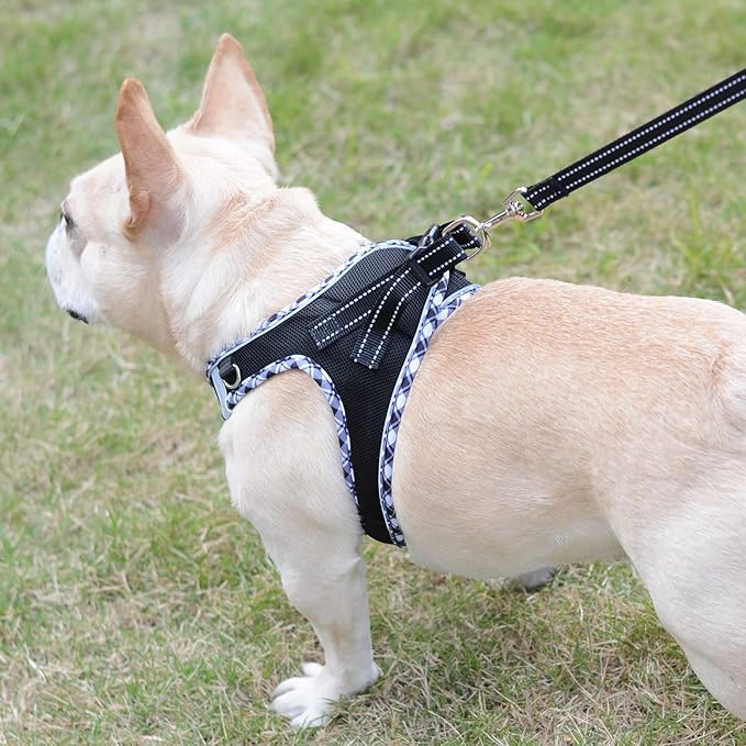 Mercano Soft Mesh Dog Harness and Leash Set, No-Chock Step-in Reflective Breathable Lightweight Easy Walk Vest Harnesses with Safety Buckle for Small Dogs, Cats (Black White, XL)