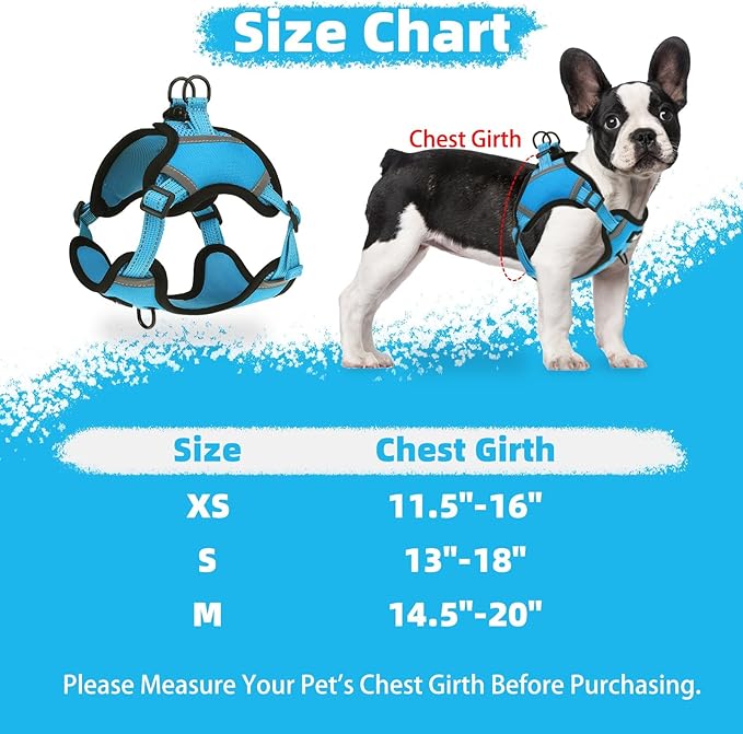 PUPTECK No Pull Dog Harness Small Sized Dog, Adjustable Reflective Escape Proof Easy Control, Comfortable Soft Padded Step in Pet Vest Harness, Blue, XS