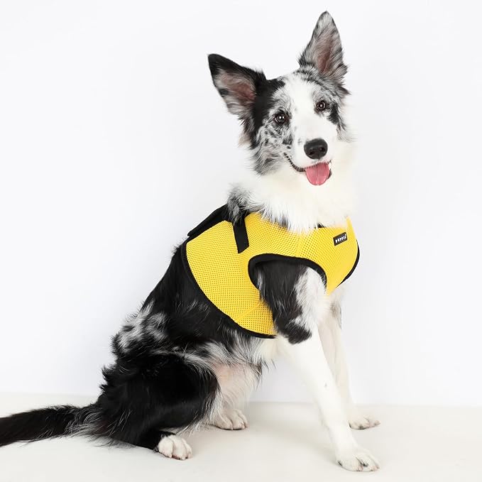 PUPPIA International Harness Soft B Vest, X-Small, Yellow