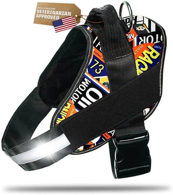 Dog Harness with Patch Panels, No Choke, Reflective, Adjustable, Soft Padded Dog Vest Harness with Easy Control Handle for Large Dogs, Motorsport, 2XL