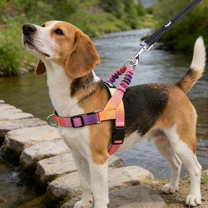 PUPTECK No Pull Dog Harness Small Sized Dog, Adjustable Reflective Pet Vest Harness with Bungee Handle, Escape Proof No Choke Harness for Small Dogs Walking Training, Pink & Purple M