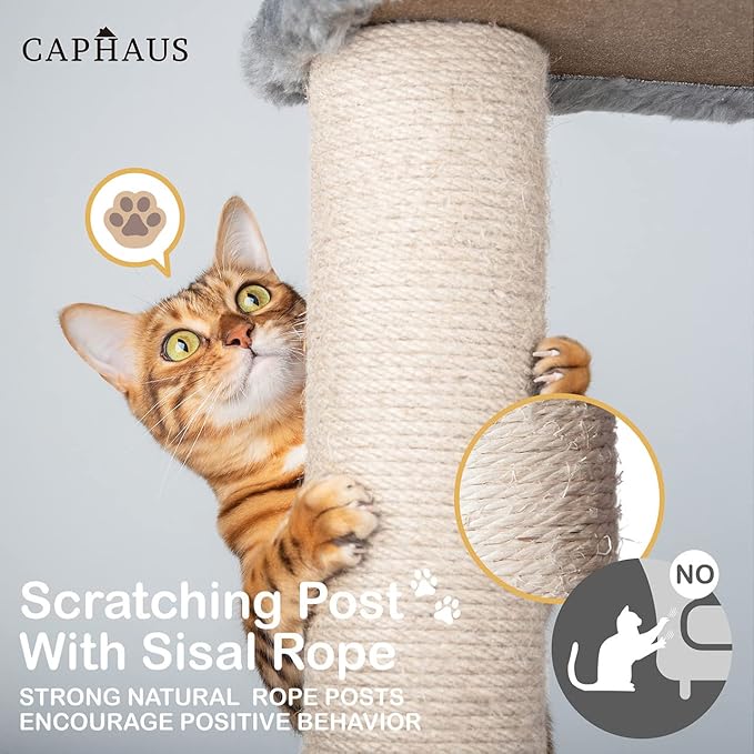CAPHAUS Tall Cat Tree for Indoor Cats, Modern Cute 58-Inch Cat Climbing Play Tower with Top Perch for Large Cats Kittens, Multi-Level Cat Activity Tree w Scratching Posts, Hammock, Cat Cave Condo
