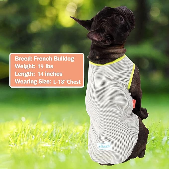 KYEESE 2Pack Dog Cooling Shirt, Breathable Dog Shirt for Small Medium Dogs, Sun Protection Dogs Cooling Vest Tank Top, Lightweight Soft Sleeveless Summer Pet Clothes, Boat+Ice Cream, XL