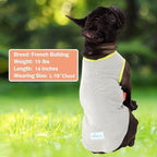 KYEESE 2Pack Dog Cooling Shirt, Breathable Dog Shirt for Small Dogs, Sun Protection Dogs Cooling Vest Tank Top, Lightweight Soft Sleeveless Summer Pet Clothes, Boat+Ice Cream, M