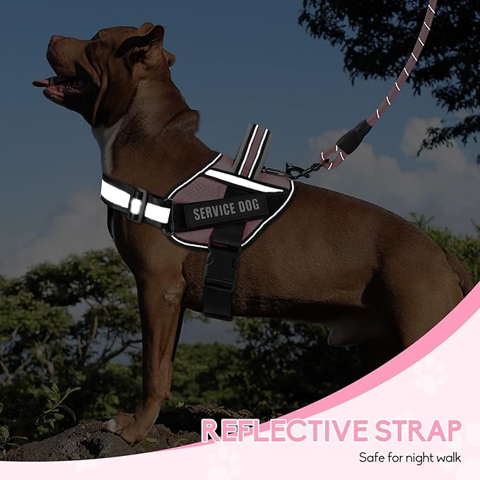 Service Dog Vest Harness and Leash Set, Animire in Training Dog Harness with 10 Dog Patches, Reflective Dog Leash with Soft Padded Handle for Small, Medium, Large, and Extra-Large Dogs(Pink,L)