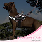 Service Dog Vest Harness and Leash Set, Animire in Training Dog Harness with 10 Dog Patches, Reflective Dog Leash with Soft Padded Handle for Small, Medium, Large, and Extra-Large Dogs (Pink,XS)