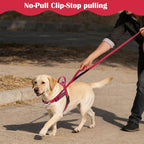 Annchwool No Pull Dog Harness with Front Clip and Easy Control Handle-Belly & Chest Adjustable Dog Harness and Leash Set for Small Medium Dogs-Heavy Duty Vest Harnesses Easy for Walking(Red,S)