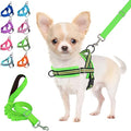 Lukovee No Pull Dog Harness and Leash Set, Soft Padded Small Dog Harness, Neck & Chest Adjustable Reflective Vest Puppy Harness with 4ft Lightweight Anti-Twist Dog Leash for Small Dogs (XXS, Green)