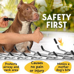 PetJett Prong Collar for Dogs - Adjustable Dog Training Collar No Pull Choke Collar for Dogs Pinch Collar for Dog Walking Tool for Small Medium, or Large Breed - Stainless Steel Metal Choker Chain