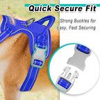 BARKBAY Dog Harness No Pull Mesh for Large Dogs - Adjustable, Reflective, Comfortable, No Choke, Heavy-Duty - Perfect for Outdoor Training, Walking, and Hiking-Strong&Durablee- XL & Sapphire Blue Mesh